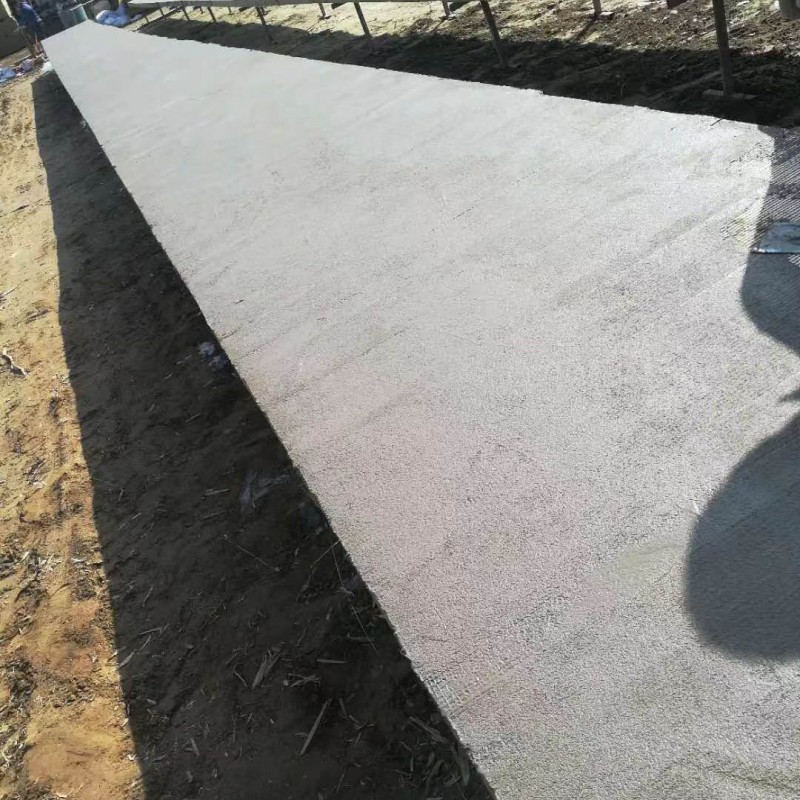 Summer beach concept