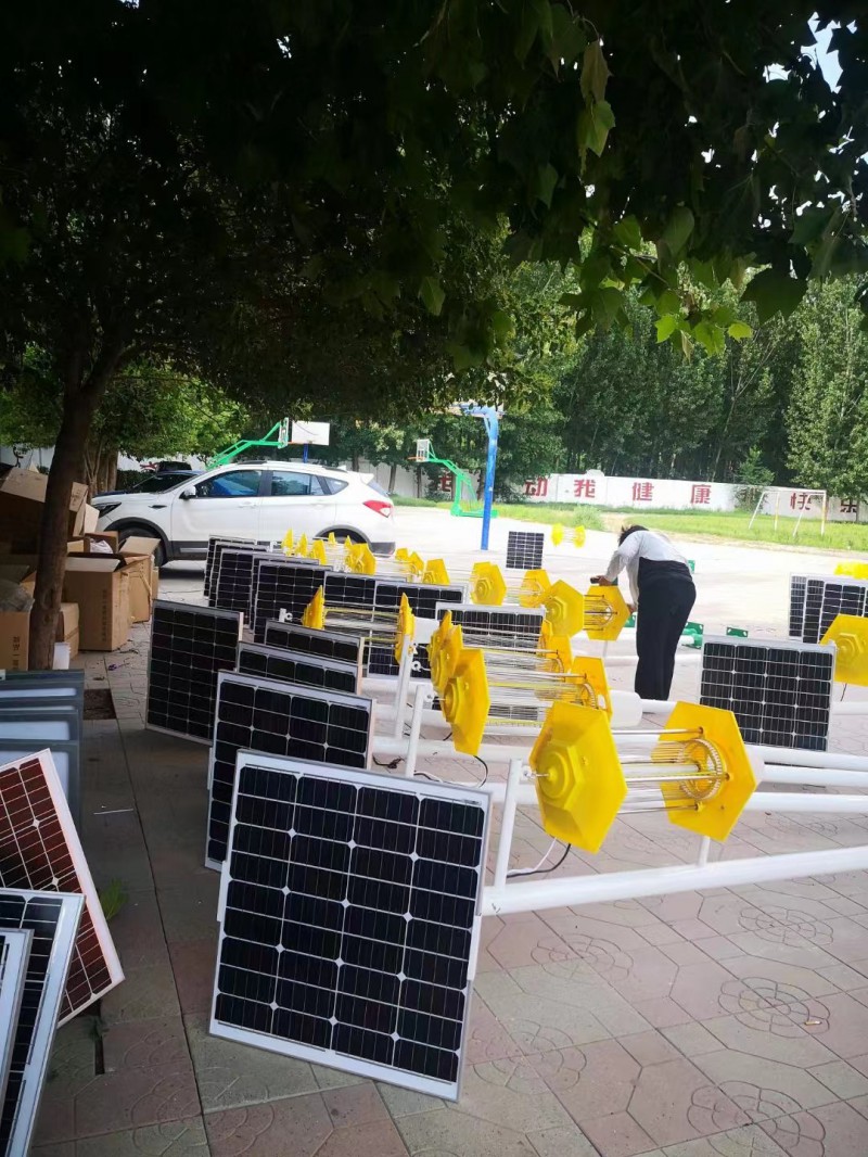 Summer beach concept