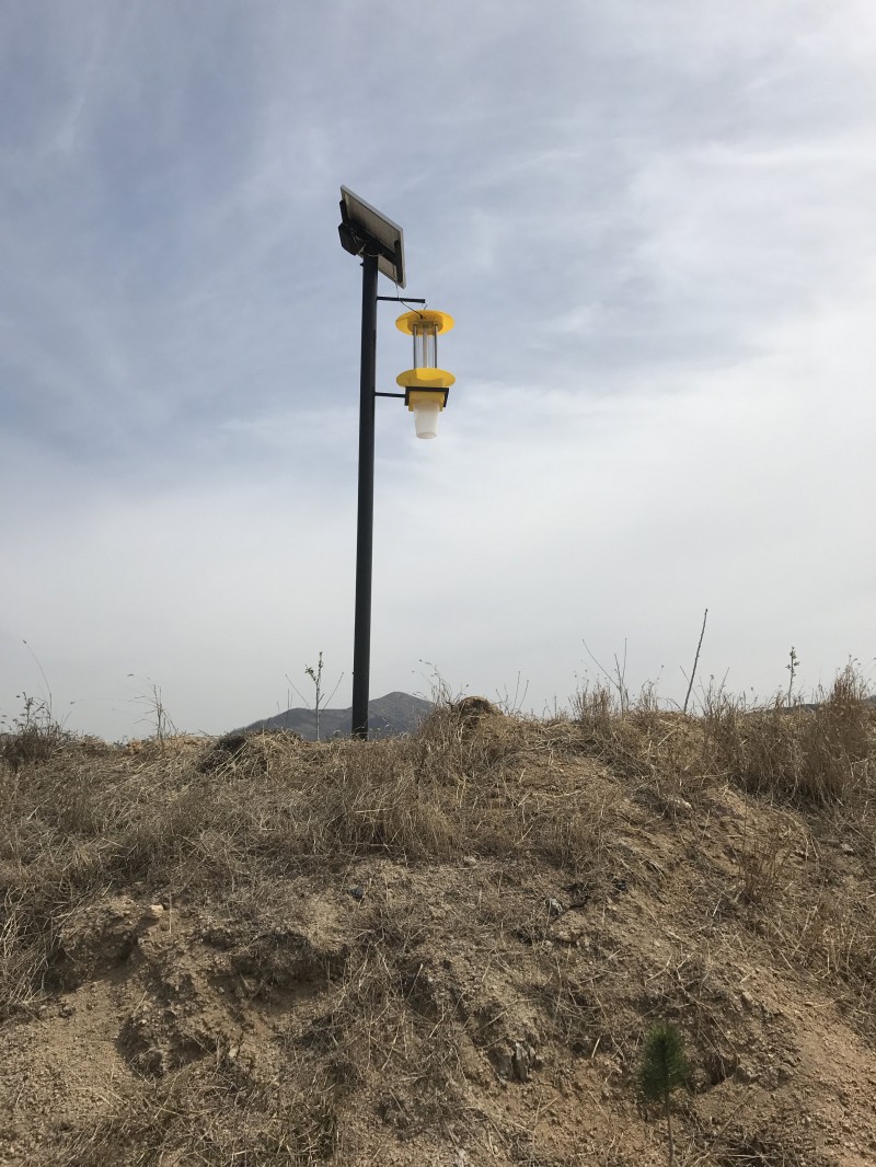 Summer beach concept