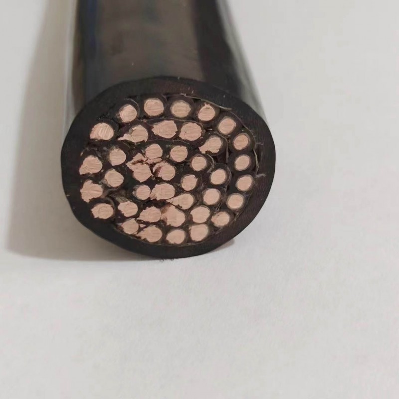 Summer beach concept