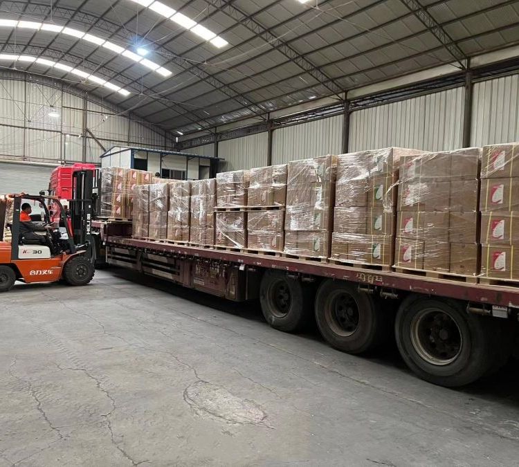 Summer beach concept