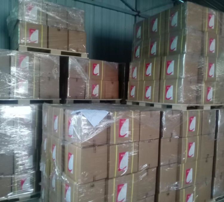 Summer beach concept