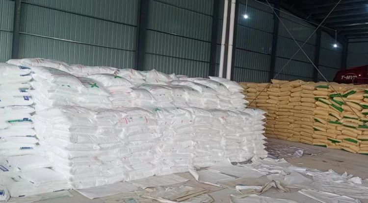 Summer beach concept