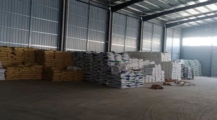 Summer beach concept