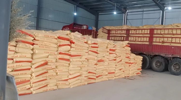 Summer beach concept