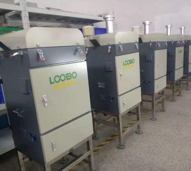 Summer beach concept