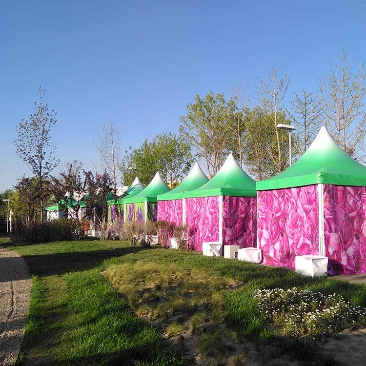 Summer beach concept