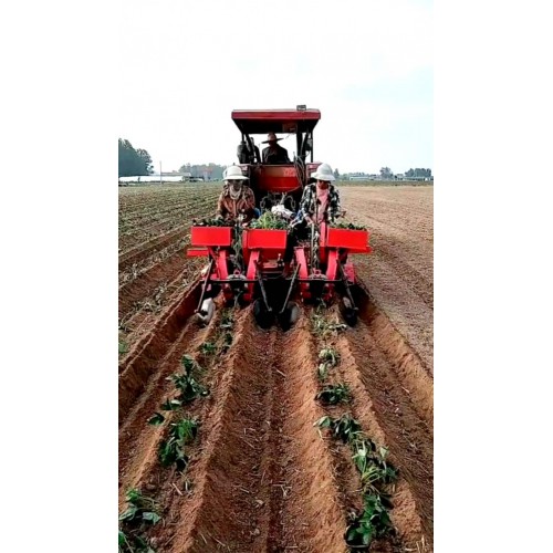 红薯苗移栽机 两行地瓜秧插苗机 斜栽平栽多功能起垄施肥栽苗机