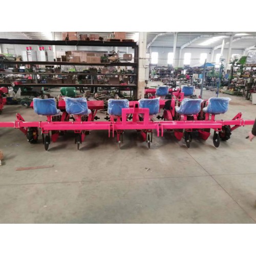 大型多行可定制蛋白桑移栽机 蛋白菊种植机 科诚机械