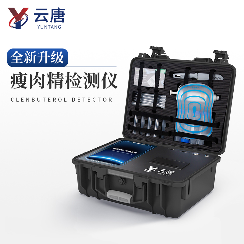 Summer beach concept