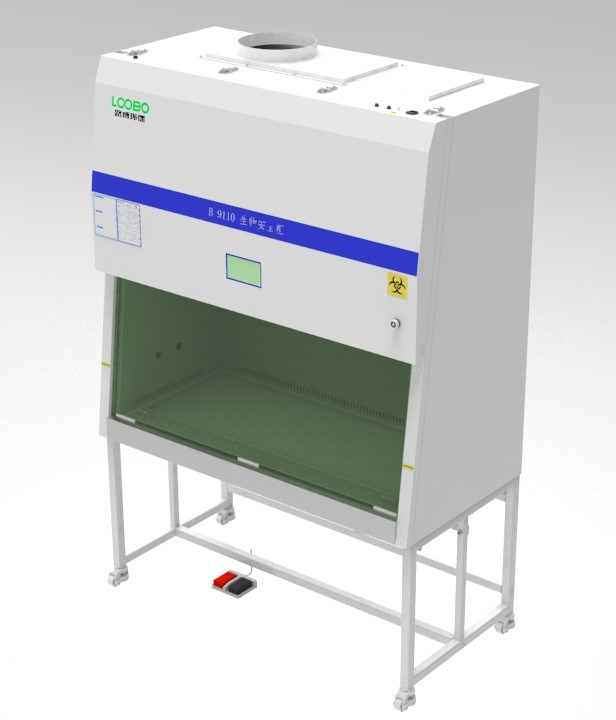 Summer beach concept