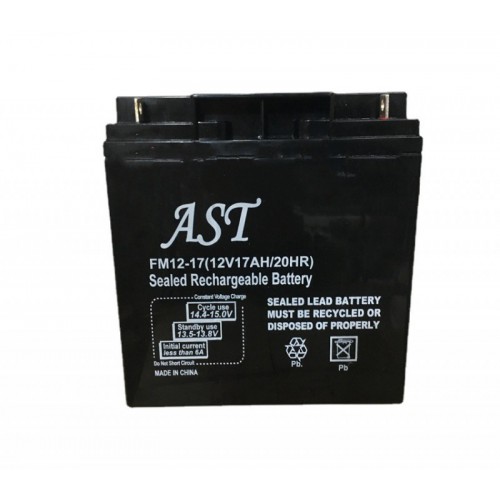AST蓄电池 储能固定型UPS电池