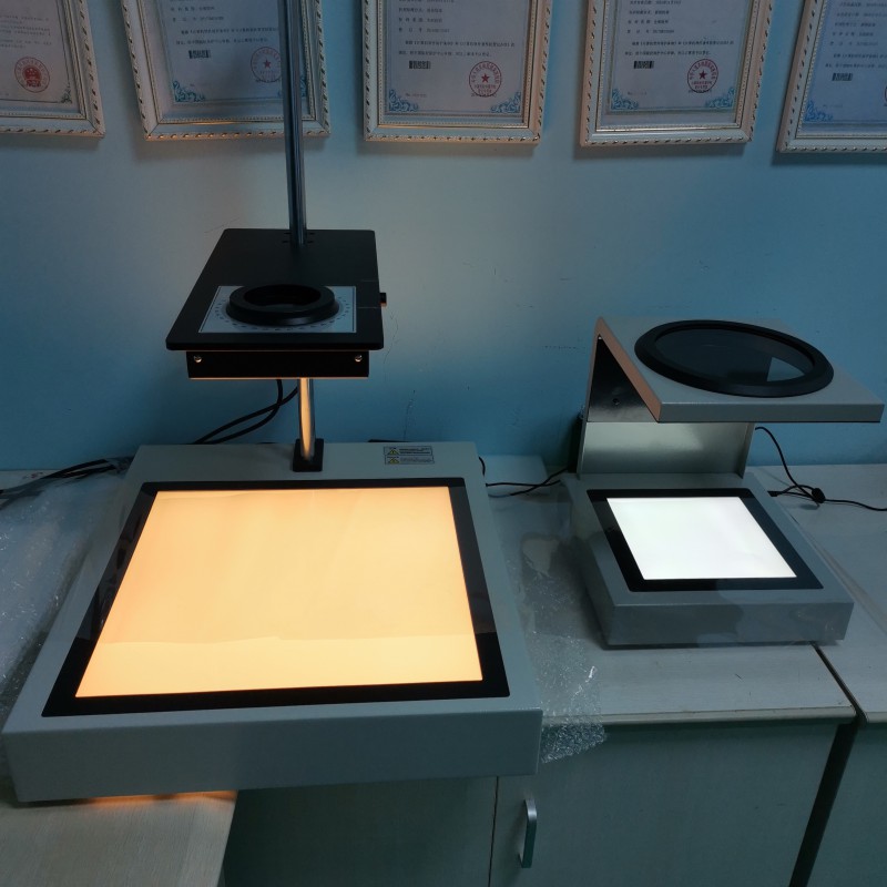 Summer beach concept