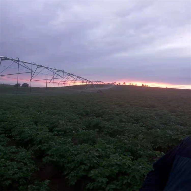 Summer beach concept