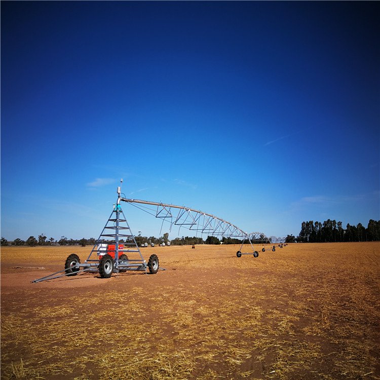 Summer beach concept