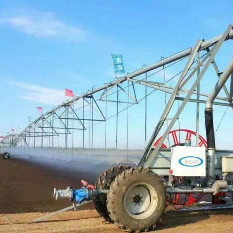 Summer beach concept