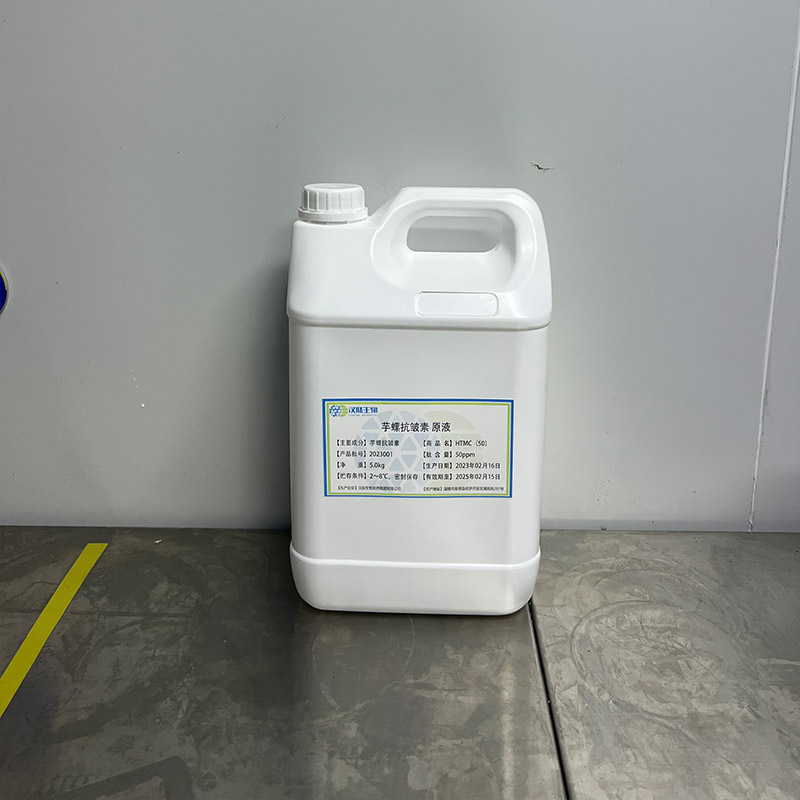 Summer beach concept