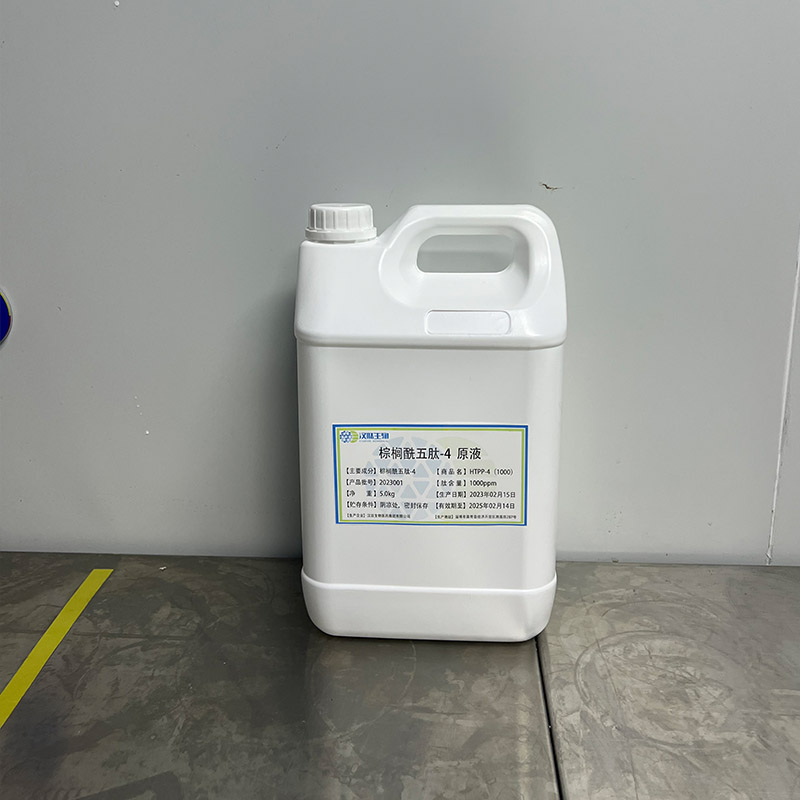 Summer beach concept