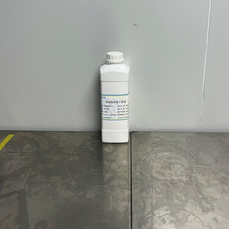 Summer beach concept