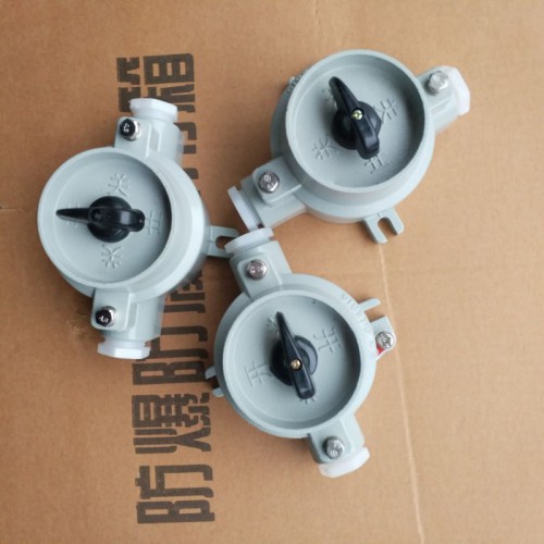 防爆照明开关 SW-10防爆照明开关 220V 防爆照明开关
