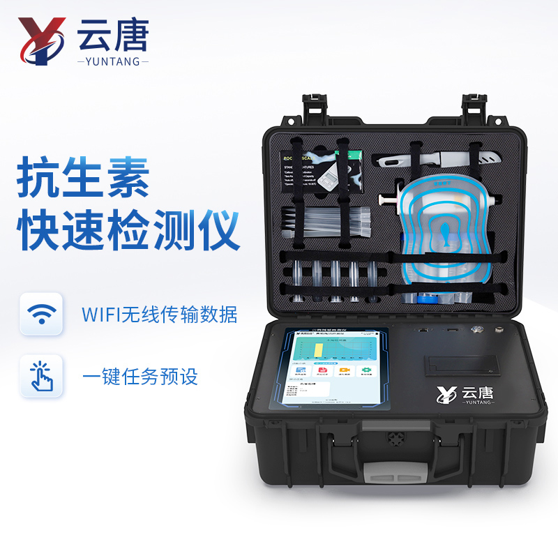 Summer beach concept