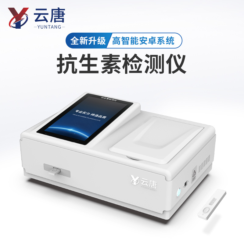 Summer beach concept