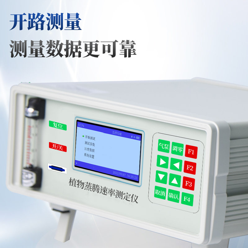 Summer beach concept