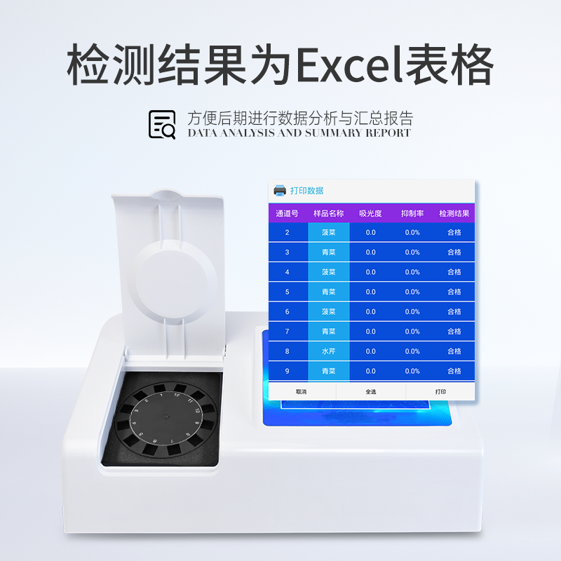 Summer beach concept