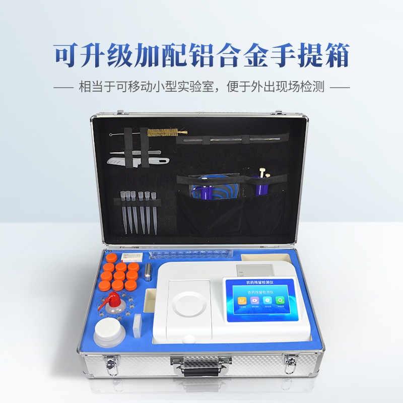 Summer beach concept