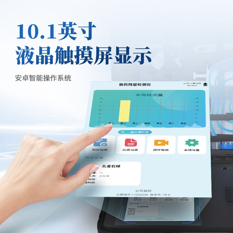 Summer beach concept