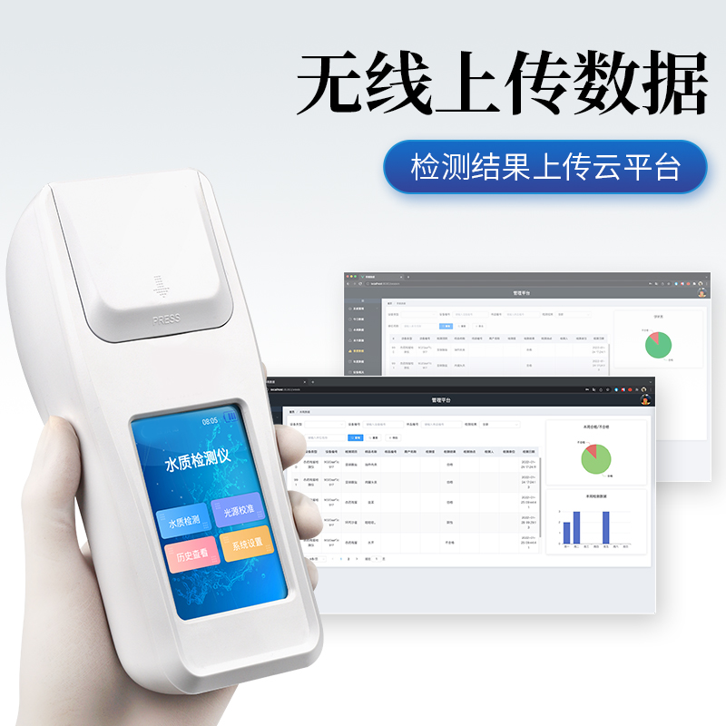 Summer beach concept