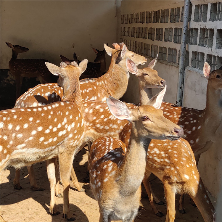 Summer beach concept