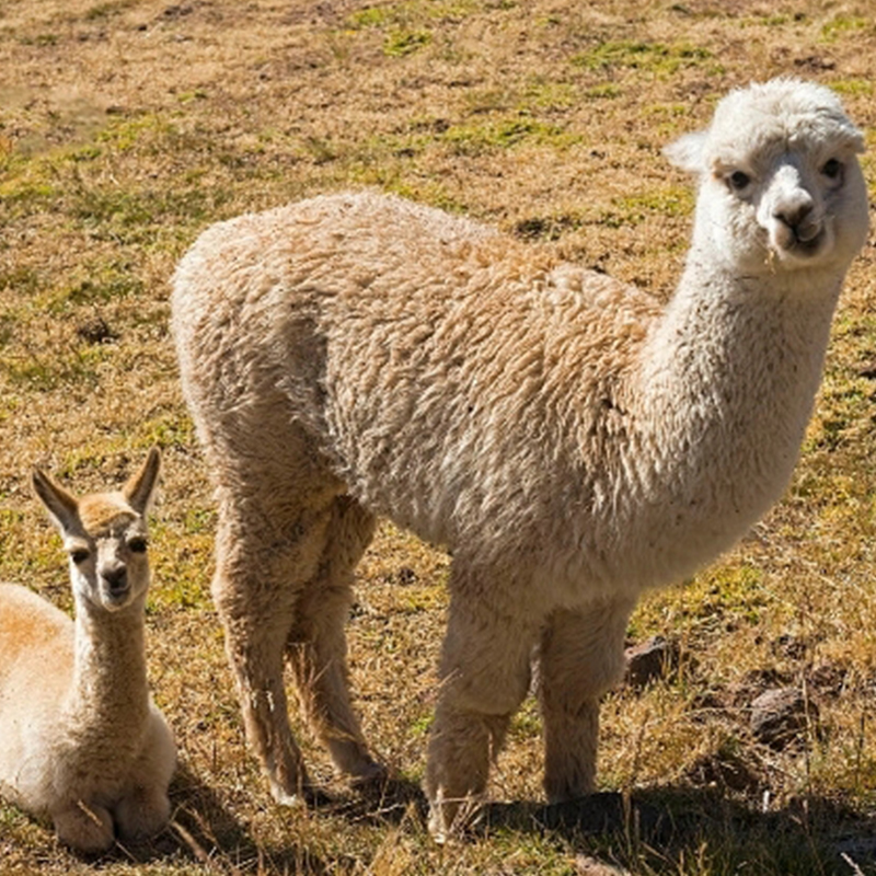 Summer beach concept