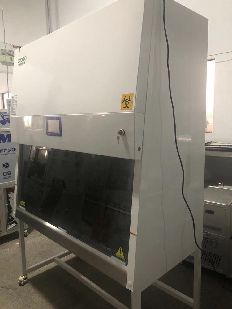 Summer beach concept