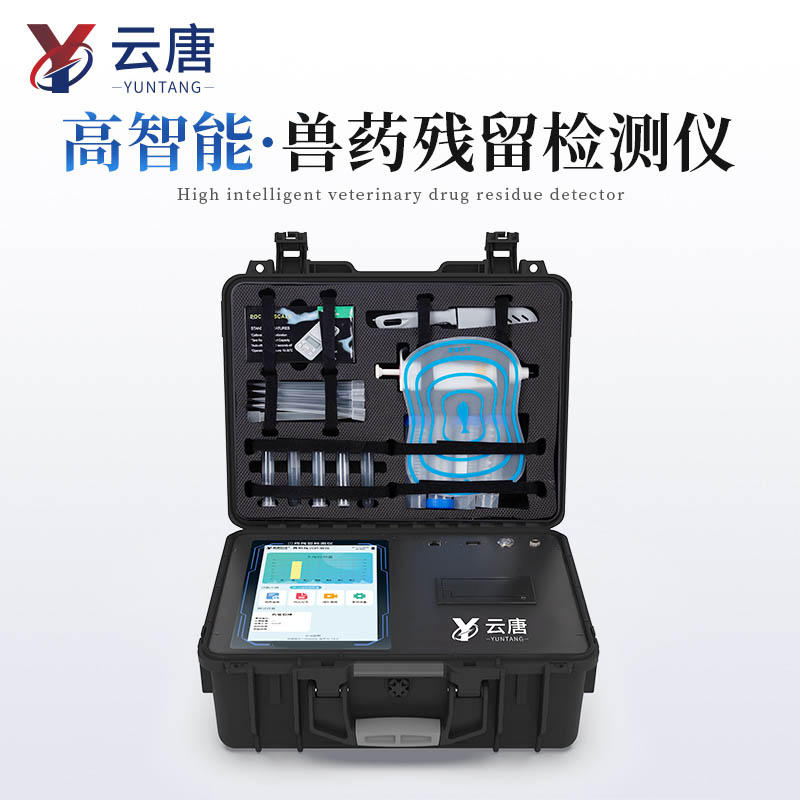 Summer beach concept