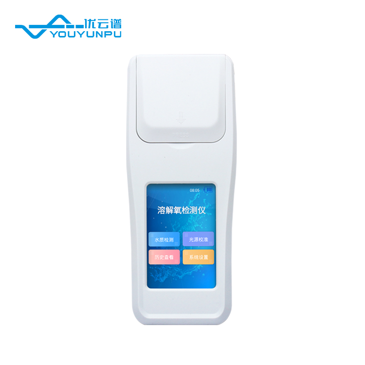 Summer beach concept