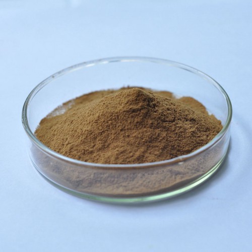 肉苁蓉提取物批发厂家