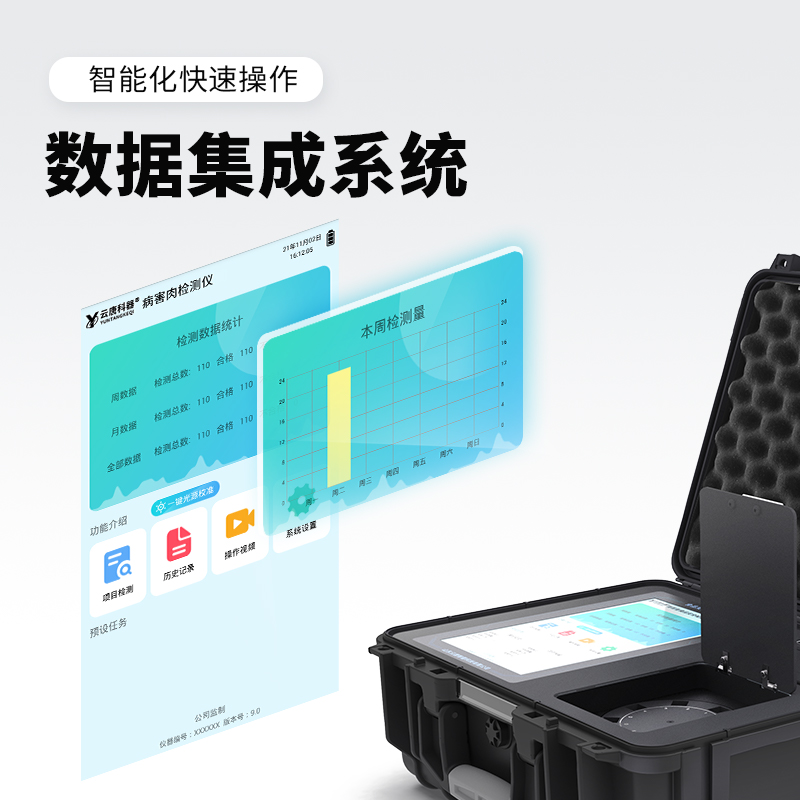 Summer beach concept