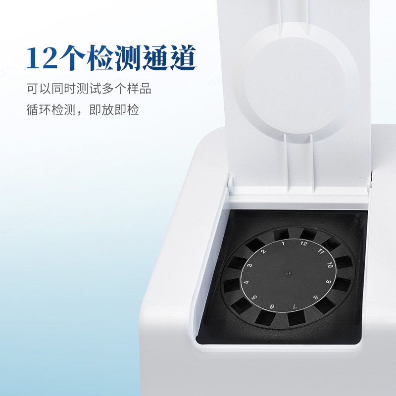 Summer beach concept