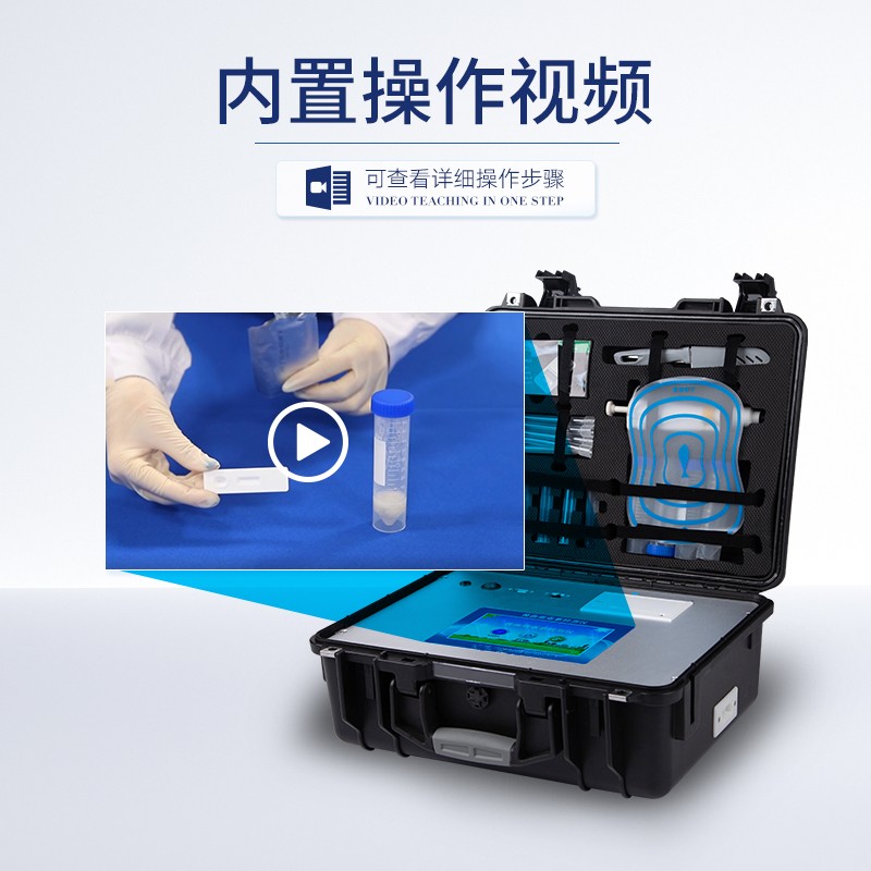 Summer beach concept