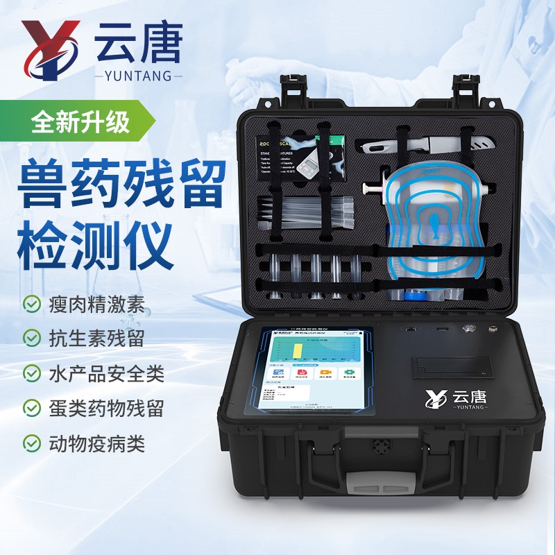 Summer beach concept