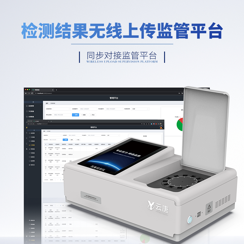 Summer beach concept