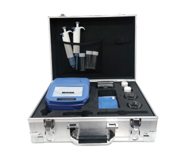 Summer beach concept