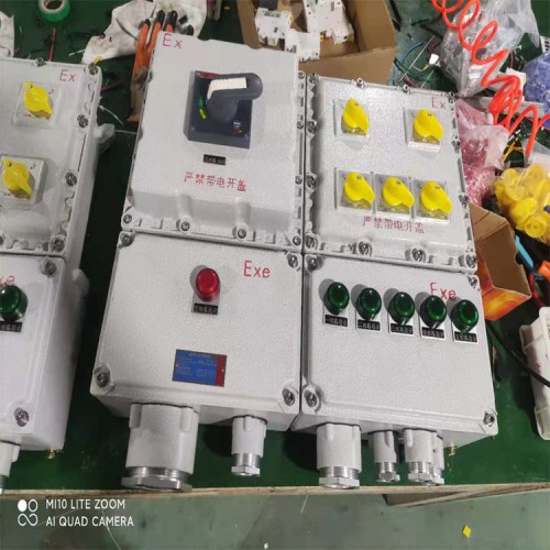 防爆配电箱带防雨罩  防爆配电箱带防护箱 防爆配电箱标准