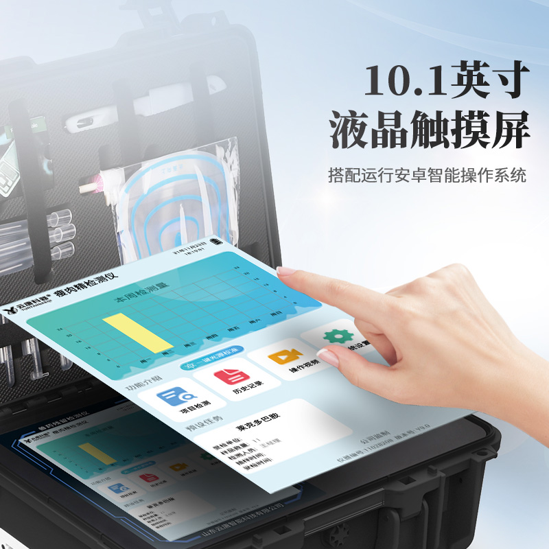 Summer beach concept