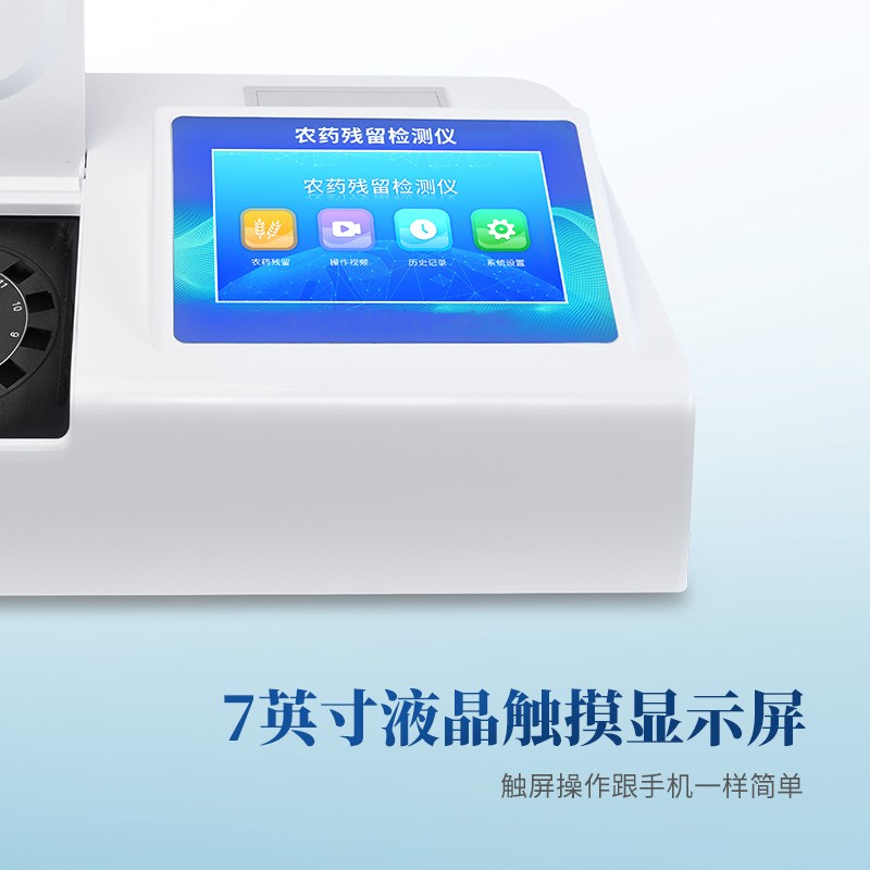 Summer beach concept