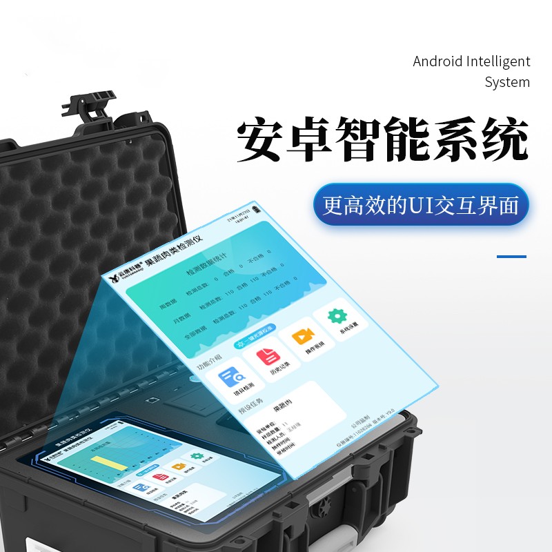 Summer beach concept