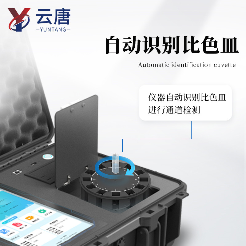 Summer beach concept