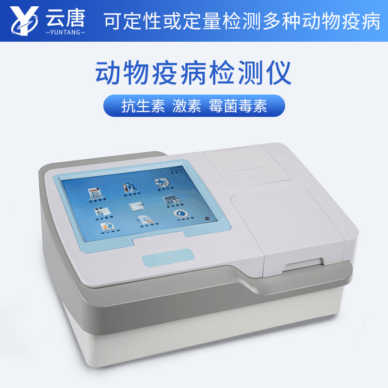 Summer beach concept