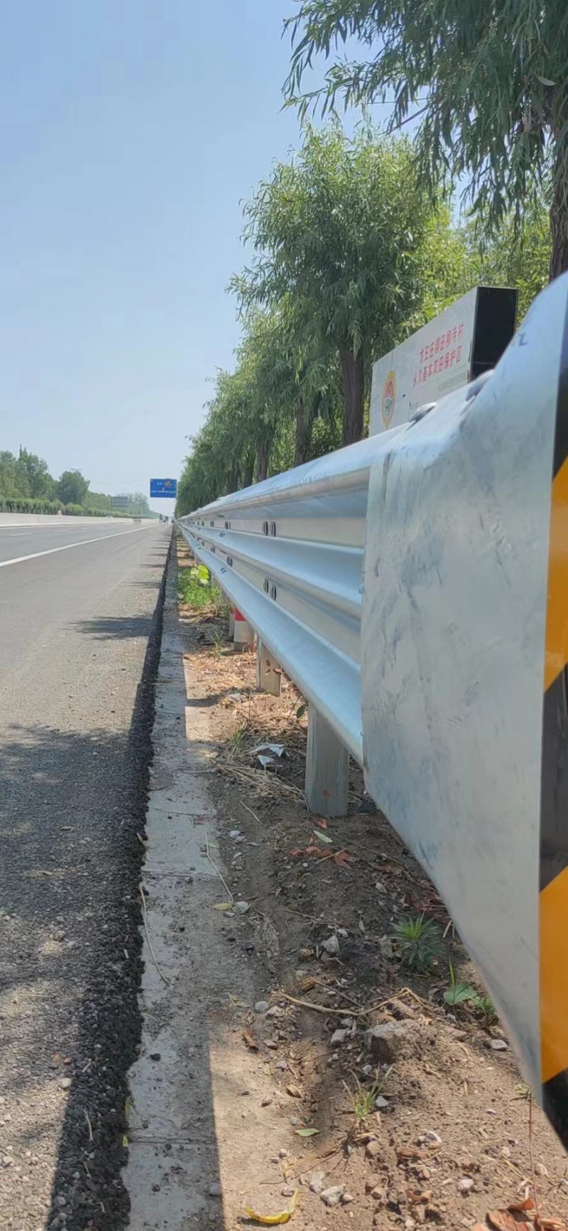 Summer beach concept